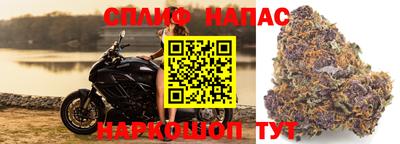 не бодяженный Апшеронск