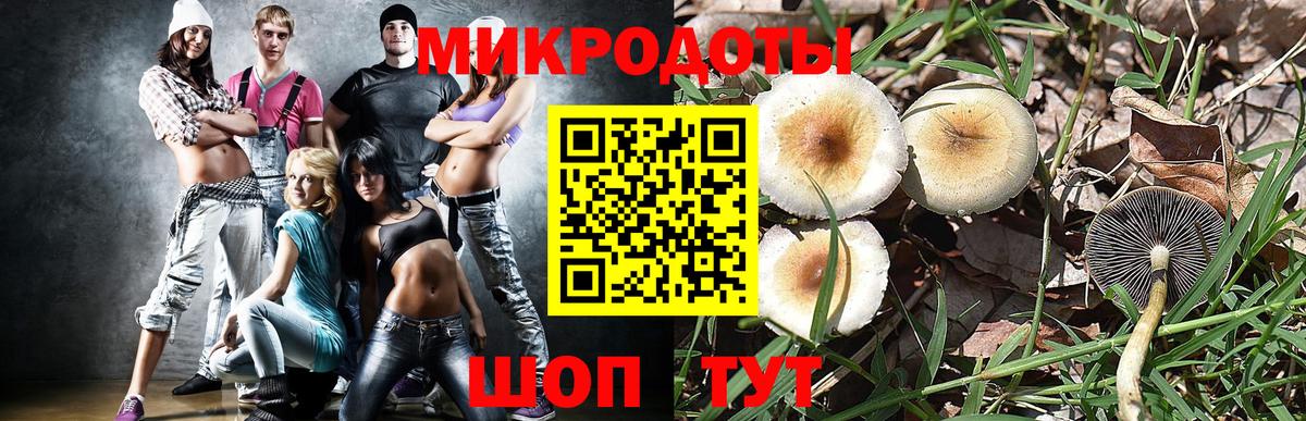 Псилоцибиновые грибы Psilocybine cubensis Балаково