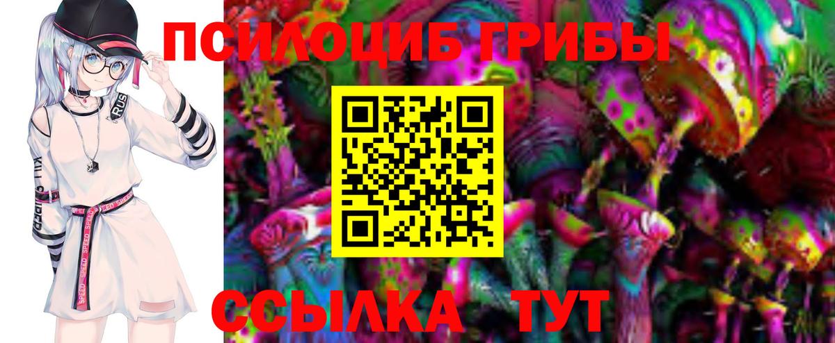 где купить наркотик  Псилоцибиновые грибы Cubensis  Вход с VPN  Галлюциногенные грибы мухоморы  Балаково 